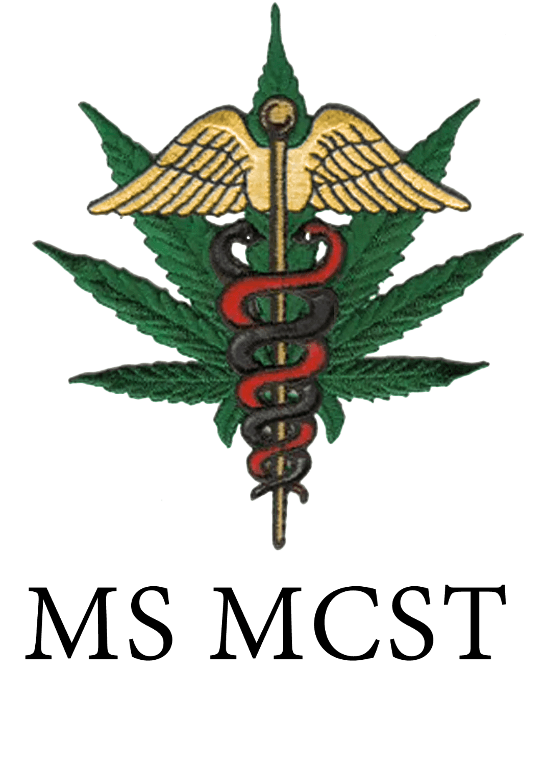 UNIVERSITY OF MARYLAND SCHOOL OF PHARMACY STOLE - Graduation Gown and Cap